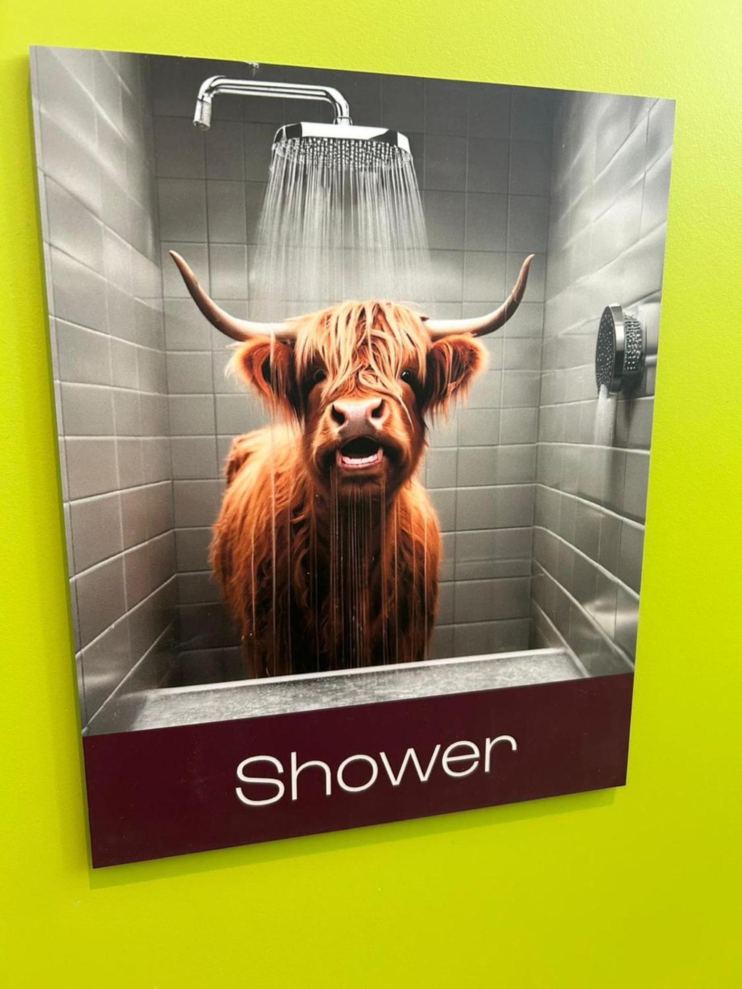Safestay Edinburgh Cowgate Eksteriør billede